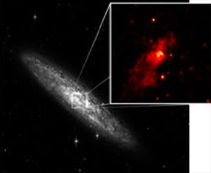 This Chandra X-ray image (inset) shows the central region of starburst galaxy NGC 253 in comparison to the optical view. Chandra detects at least four likely mid-mass black holes within about 3000 light years from the galaxy's core.