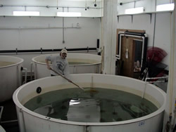 Photo of student working in lab