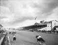 view down a racetrack behind a pack of racing horses