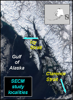 Primary migration corridors studied in the marine waters of the northern and southern regions of Southeast Alaska
