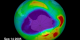 NASA's OMI instrument's daily Antarctic total ozone images from July 1 through September 15, 2005