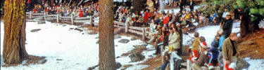 Nation's Christmas Tree celebration-Grant Grove.