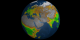 This animation shows  seasonal change in vegetation around the globe as measured by the NDVI value.