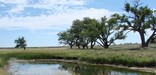 Sand Creek Massacre NHS