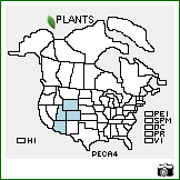 Distribution of Penstemon caespitosus Nutt. ex A. Gray. . Image Available. 