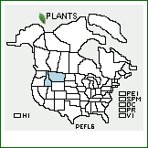Distribution of Penstemon flavescens Pennell. . 