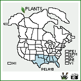 Distribution of Penstemon laxiflorus Pennell. . Image Available. 