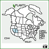 Distribution of Penstemon leiophyllus Pennell. . Image Available. 