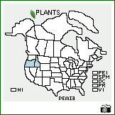 Distribution of Penstemon miser A. Gray. . Image Available. 