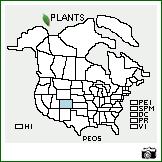 Distribution of Penstemon osterhoutii Pennell. . Image Available. 