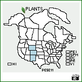 Distribution of Penstemon secundiflorus Benth.. . Image Available. 
