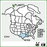 Distribution of Penstemon tenuis Small. . Image Available. 