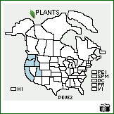 Distribution of Penstemon venustus Douglas ex Lindl.. . Image Available. 