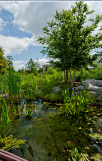 Sustainability in Practice at the Nation's Capitol