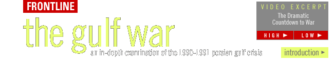 FRONTLINE's the gulf war: an in-depth examination of the 1990-1991 persian gulf crisis