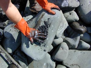 picture of oil on a rock