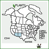 Distribution of Rhus trilobata Nutt. var. racemulosa (Greene) F.A. Barkley. . 