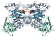 Schematic image of Hex B