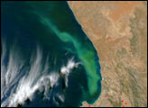 Plume off the Coast of South Africa