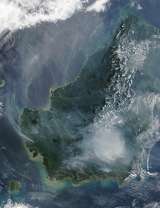 satellite image of fire in Borneo
