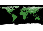 NASA Earth Observations (NEO) 