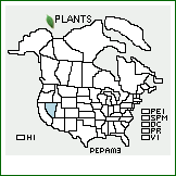 Distribution of Penstemon palmeri A. Gray var. macranthus (Eastw.) N.H. Holmgren. . 