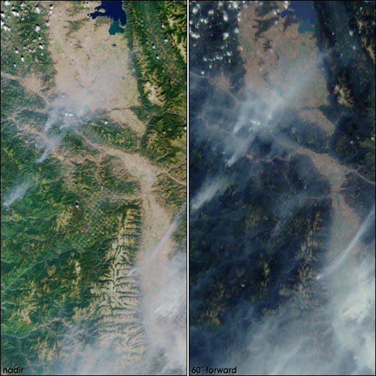 Two Perspectives on Forest Fire