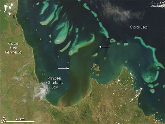 River Plumes Threaten Great Barrier Reef