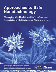 cover page - Approaches to Safe Nanotechnology