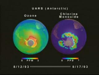 Side-by-side globes showing MLS measurements of ozone and chlorine monoxide over Antartica from 8-12-93 to 9-17-93.