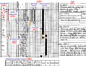 Close-up example of a core description sheet showing different styles of attributes