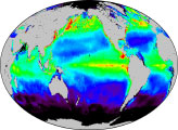 Growth Rates in Earth's Watery Garden