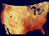 MODIS Measures Fraction of Sunlight Absorbed by Plants