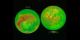 Ozone in the northern and southern hemispheres as measured by Earth Probe TOMS from 7-26-1996 to 11-4-2001