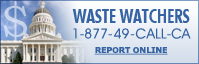 Reporting Waste in Government