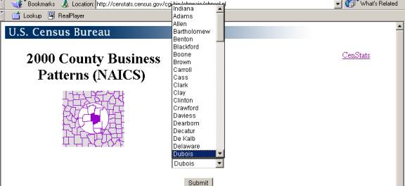 County Business Patterns Page