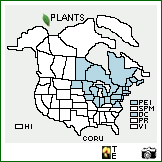 Distribution of Cornus rugosa Lam.. . Image Available. 