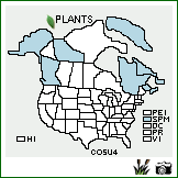 Distribution of Cornus suecica L.. . Image Available. 