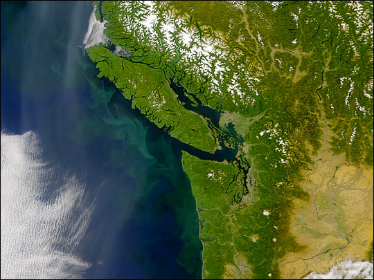 Phytoplankton, Haze, and Forests in the Pacific Northwest