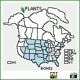 Distribution of Bouteloua hirsuta Lag.. . Image Available. 