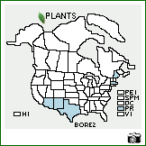 Distribution of Bouteloua repens (Kunth) Scribn. & Merr.. . Image Available. 