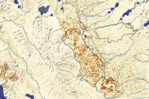 Drought in California's Central Valley