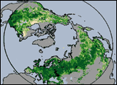 Northern Greening