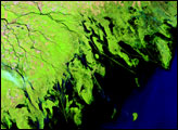 Volga River Delta