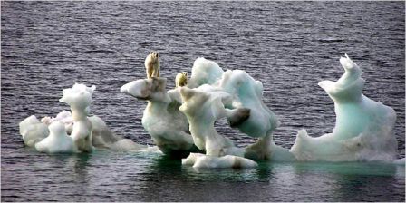 Polar bears on chunks of glacial ice in the Bering Sea in 2004. Much higher temperatures are forecast for the Arctic, climate scientists say.