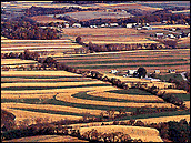 Farms