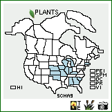 Distribution of Schoenoplectus hallii (A. Gray) S.G. Sm.. . Image Available. 