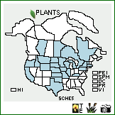 Distribution of Schoenoplectus heterochaetus (Chase) Soják. . Image Available. 