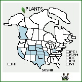 Distribution of Schoenoplectus saximontanus (Fernald) Raynal. . 