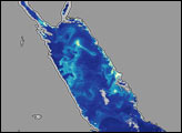 Chlorophyll and Currents in the Red Sea